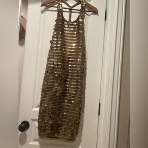 BCBG Bronze Iman Dress